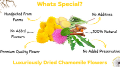 Energy & Detox Duo (30 Days Pack)